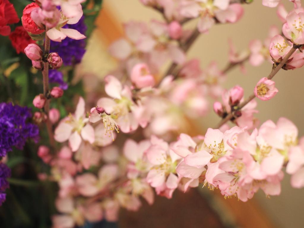 Asahi Club Hotel Chikuma Luaran gambar